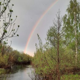 Фотография "С первой радугой..."