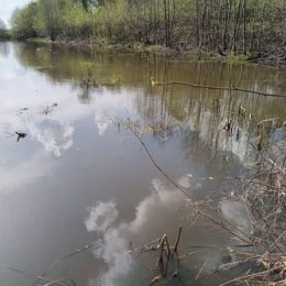 Фотография от Сергей Быков