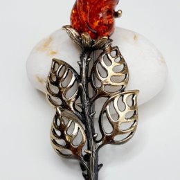 Фотография от amber brooch