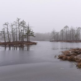 Фотография от олег горянов