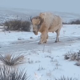 Фотография от Надежда Артебякина(Зайцева)