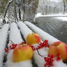 Фотография от ❤️🌹Наташа ❤️