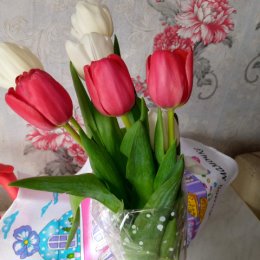 Фотография "Букет цветов от внуков"