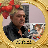 Владимир Левин