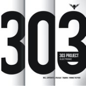 303 Project