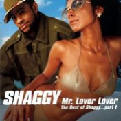 Mr.Lover Lover The Best Of Shaggy (Part 1)