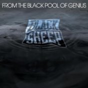 From The Black Pool Of Genius