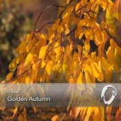 Golden Autumn