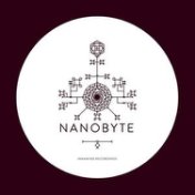 Nanobyte