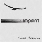 Птица - Вечность