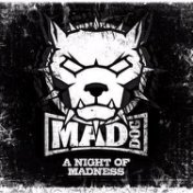 A Night of Madness WEB