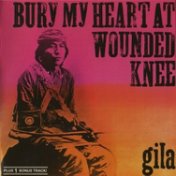 Bury My Heart at Wounded Knee