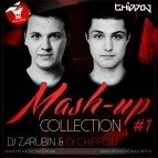 Bailando (DJ Zarubin & DJ Chippon Mash up)