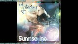 Sunrise Inc