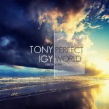 Perfect World ( Original Mix )