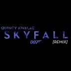 Skyfall (Quincy Kwalae Remix)