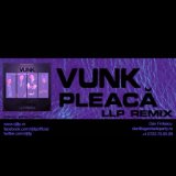Pleaca (LLP Remix)