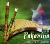 Unchained Melody (Panflute Version)