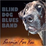 Blind Dog Blues Band