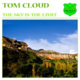 The Sky Is the Limit (Original Mix)