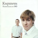 Кирпичи