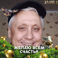 Анатолий Волгин