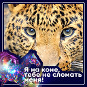 Коля Коля