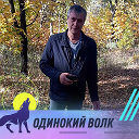 Виктор Волков