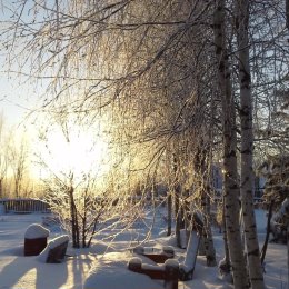 Фотография "зима 2015"