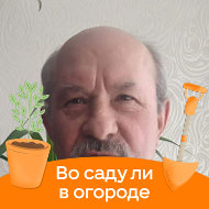 Василий Ширкин