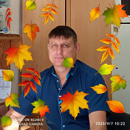 Владимир Скок