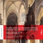 Flemish Baroque Treasures Unveiled