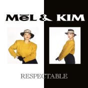 Respectable (The Remix Singles)