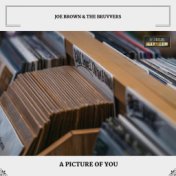 A Picture Of You (With Bonus Tracks)