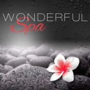 Wonderful Spa – Nature Sounds for Spa and Wellness, Ocean Waves, Peaceful Music for Relax While Massage, Relaxing Background Mus...