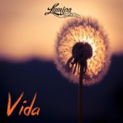 Vida (Instrumental Hip Hop)