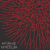 Hyphae+ Mycelia