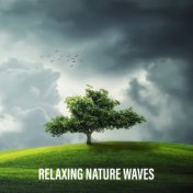 Relaxing Nature Waves