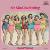 Mr. Cha Cha Medley: Tea For Two / Mi Amor Se Fue / Andalucia / Stormy Weather Que Emocion / La Criticona / Mulata / Red Dress / ...
