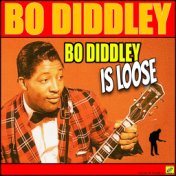 Bo Diddley Is Loose