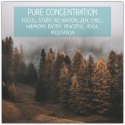 Pure Concentration: Focus, Study, Relaxation, Zen, Chill, Harmony, Enjoy, Peaceful, Yoga, Meditation