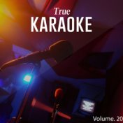 True Karaoke, Vol. 20