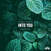 Into You (Remixes 2019)