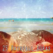 25 Rainfall Auras