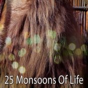 25 Monsoons Of Life