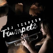 DJ Tzepesh