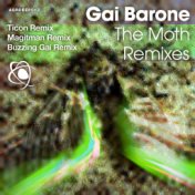 The Moth - Remixes