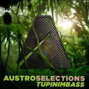Austro Selections: Tupinimbass (Original Mix)