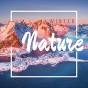 Winter Nature: Calming Sounds, Relaxing Therapy, Relax and Unwind, Soothing Sound Effects, Nature's Tranquilizer