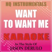 Want To Want Me (In The Style of Jason Derulo) [Instrumental / Karaoke Version]